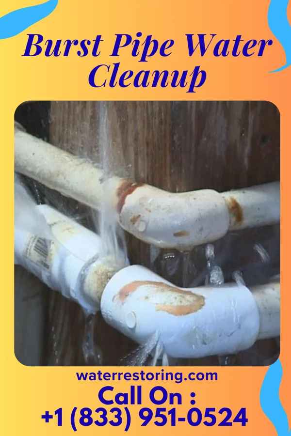 Burst Pipe Water Cleanup in Ringtown, PA