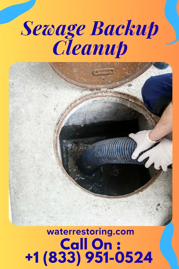 Sewage Backup Cleanup in Ringtown, PA