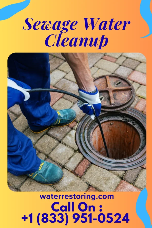 Sewage Water Cleanup in Ringtown, PA
